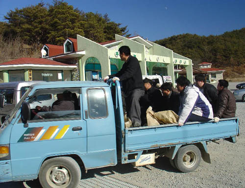 철새들에게 먹이를 주기 위해, 먼 곳은 차량으로 운반하고 있다. 